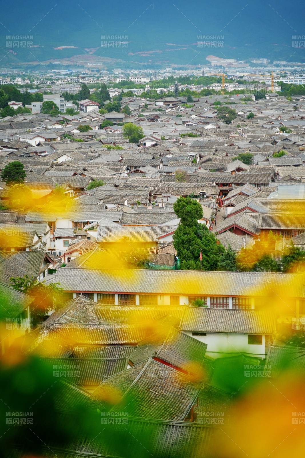 古城俯瞰 黄花点缀图片