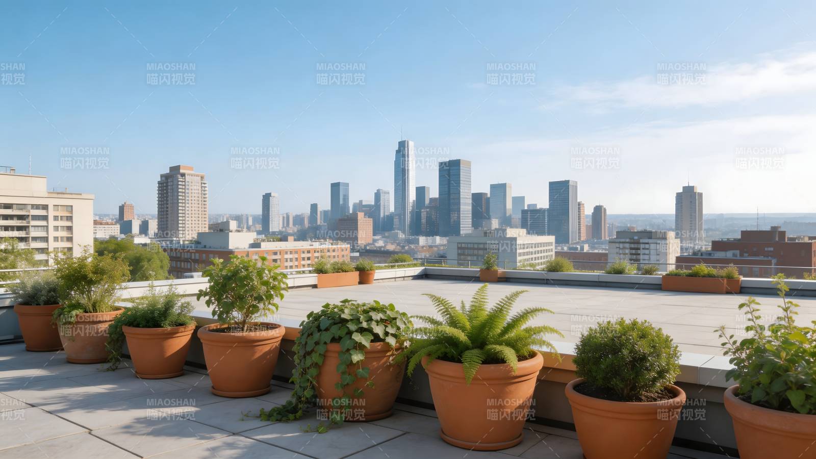 城市天台绿植景观图片