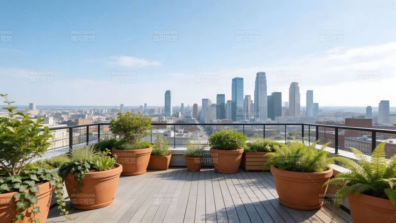 城市天台绿植美景图片