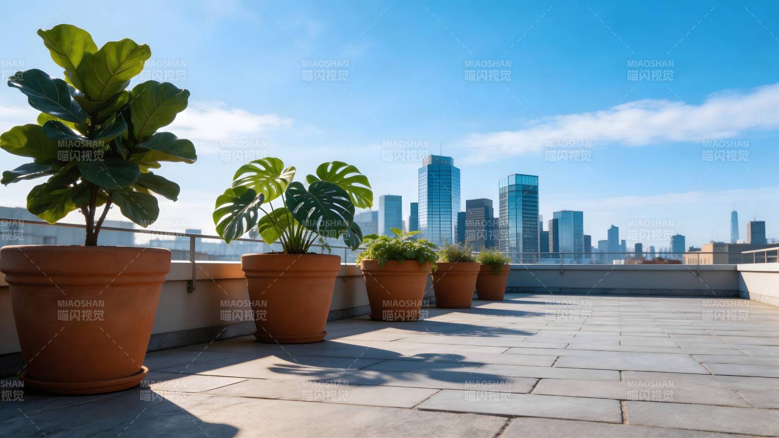 城市天台绿植景图片