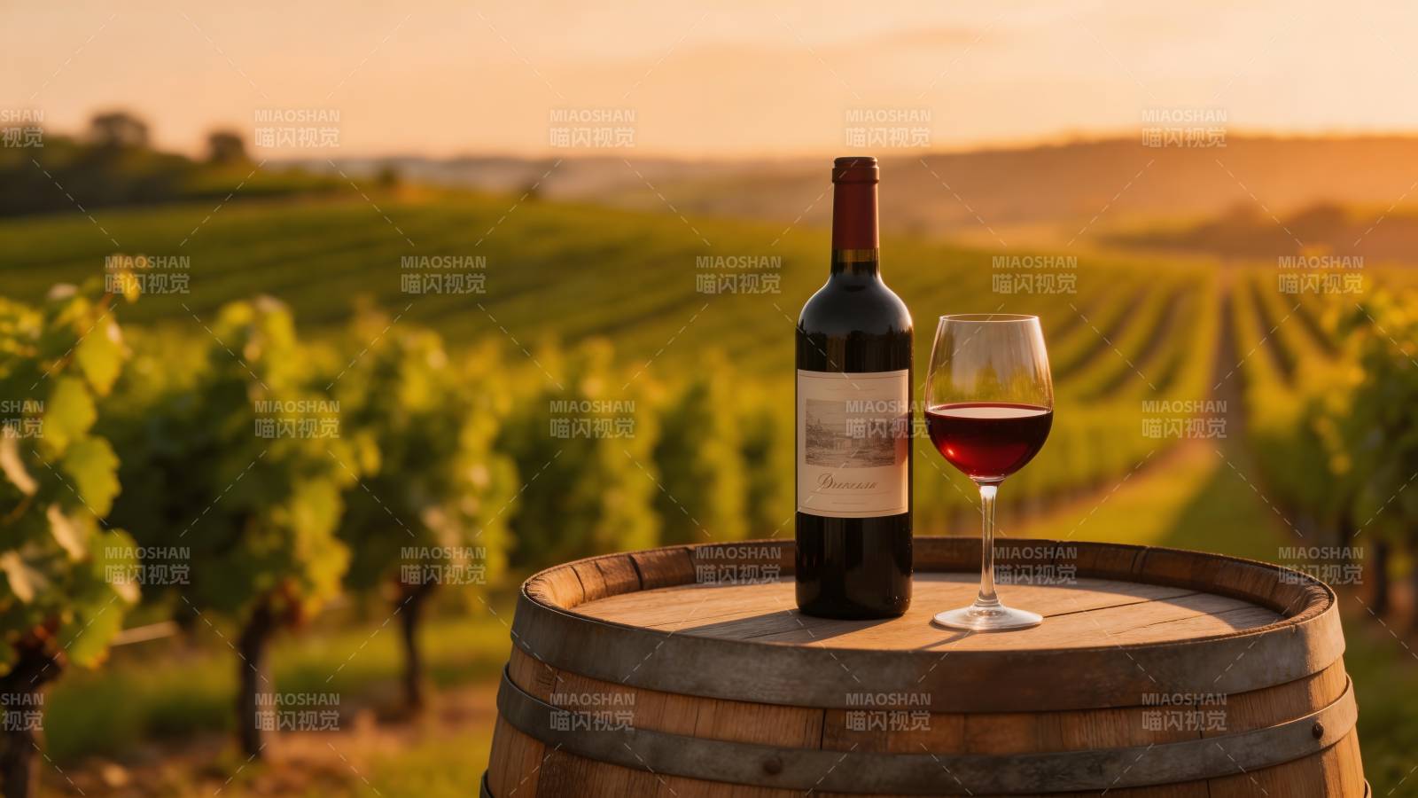 葡萄园夕阳品酒图片