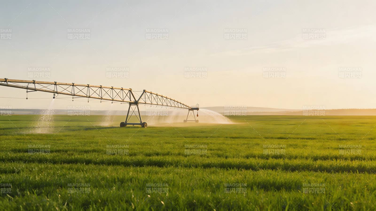 灌溉农田 绿意盎然图片