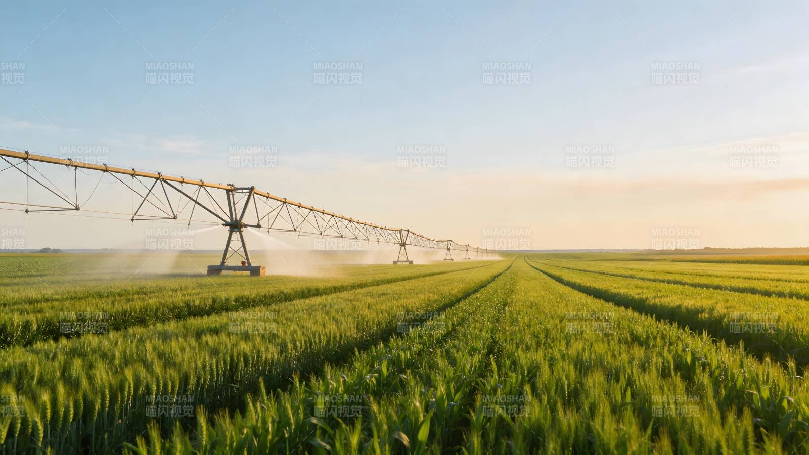 灌溉麦田美景图片