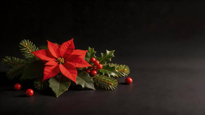 圣诞花饰静物图片