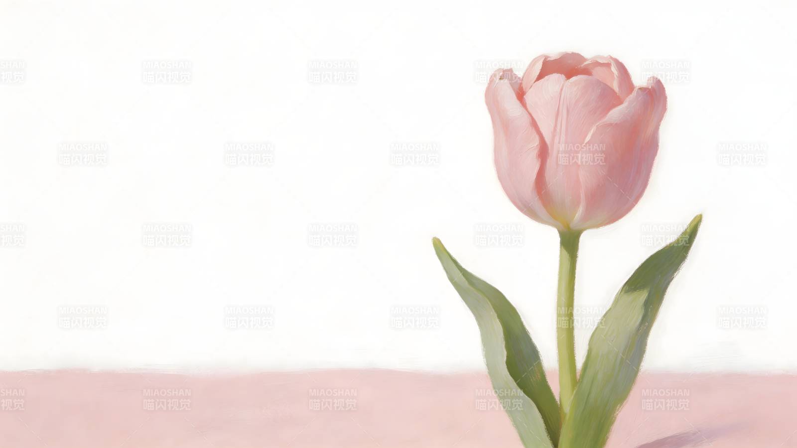 粉红郁金香静美绽放图片