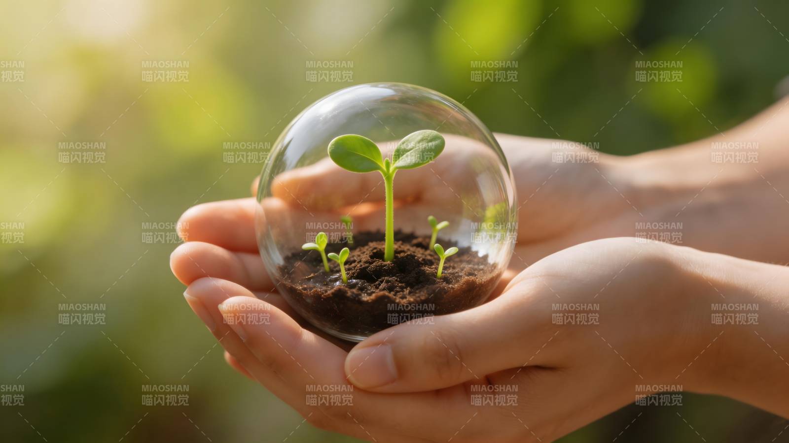 守护新生绿芽图片