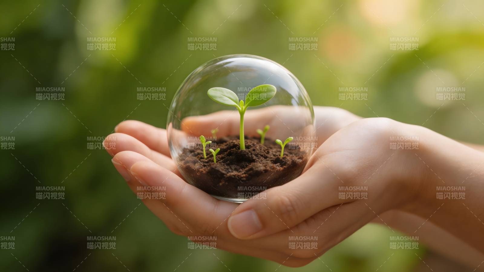 守护绿色希望图片