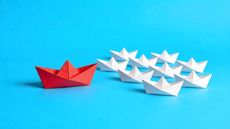 红船领航白船队图片