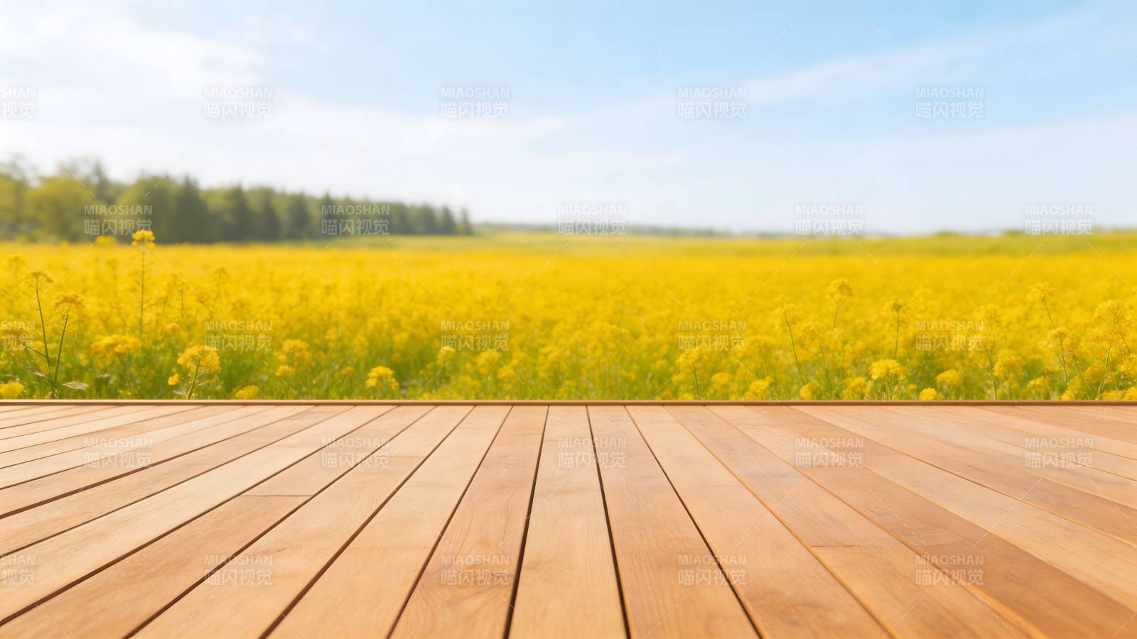 木台望向金黄花海图片