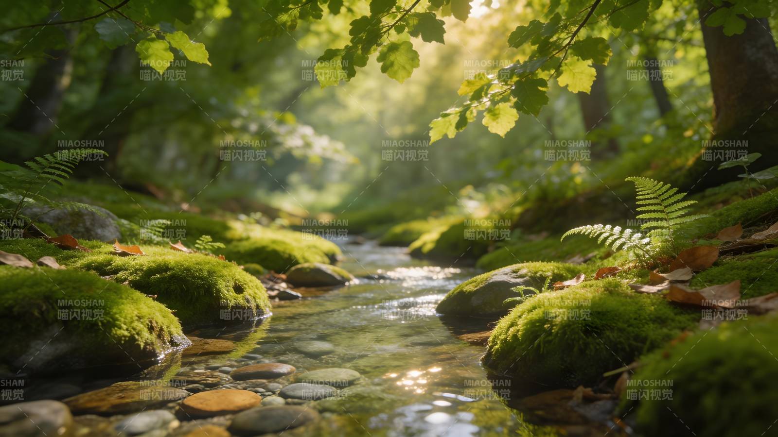 溪流穿林 绿意盎然图片