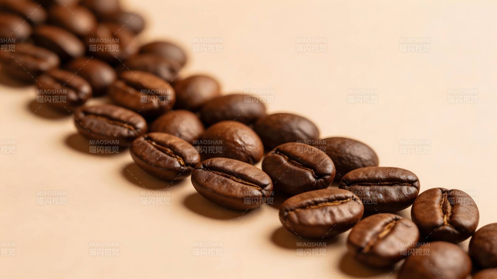 咖啡豆排列成行图片