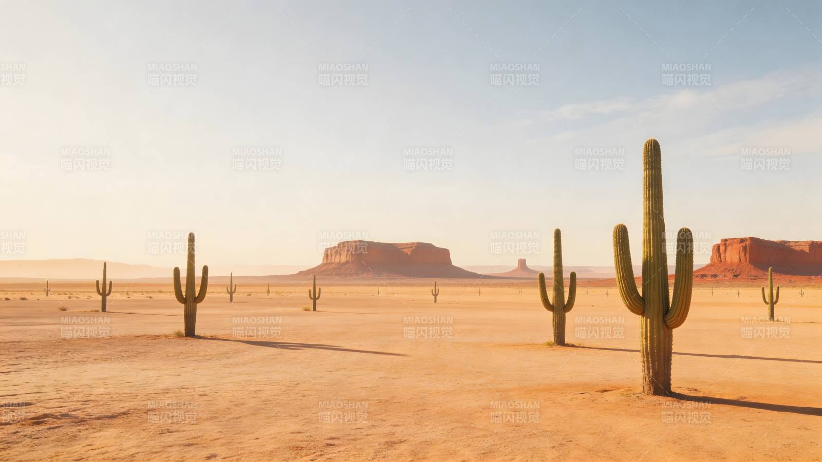 沙漠仙人掌风光图片
