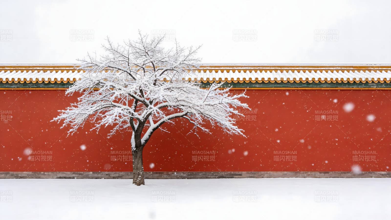 雪中红墙孤树图片