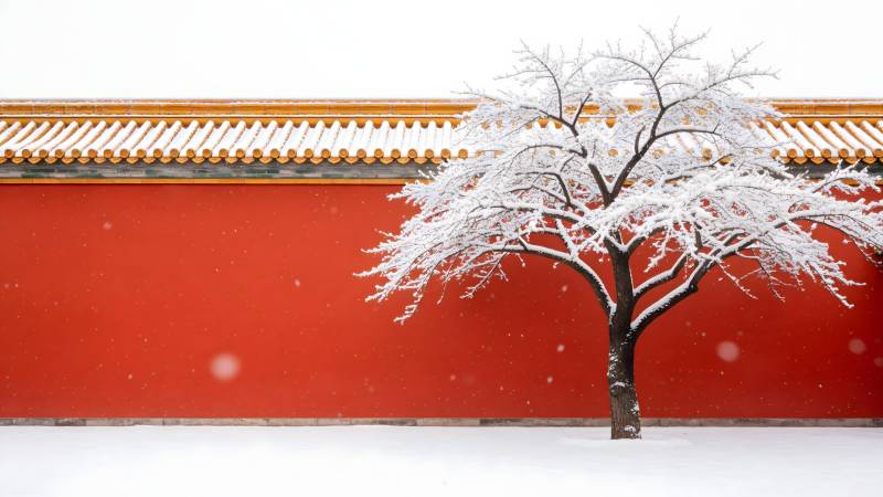 雪中红墙古树图片