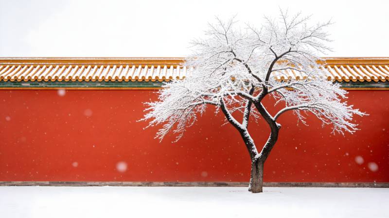 雪中红墙孤树图片