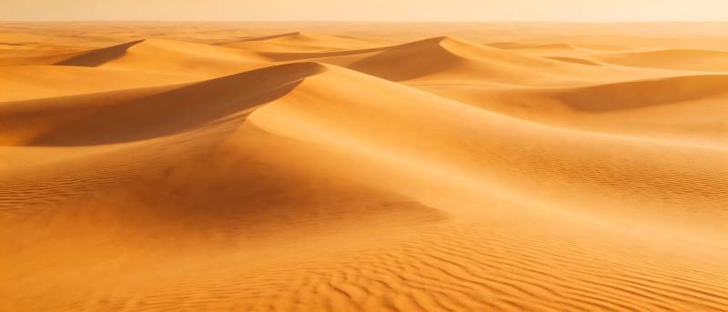 金色沙海无垠图片