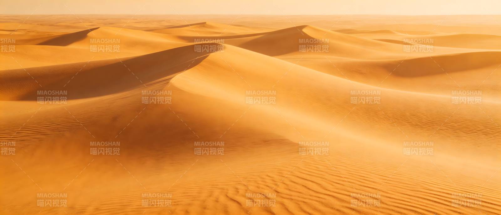 金色沙海无垠图片
