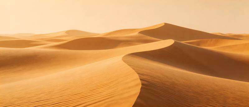 金色沙丘连绵起伏图片
