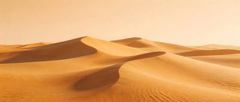 金色沙丘连绵起伏图片