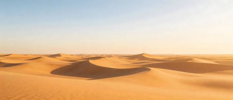 金色沙丘连绵起伏图片