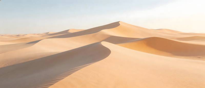 金色沙丘连绵起伏图片