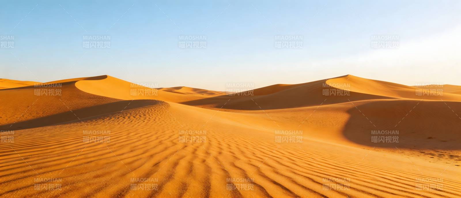 金色沙丘连绵起伏图片