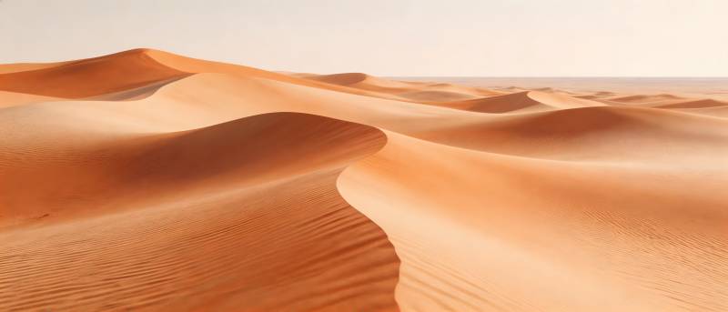 金色沙丘连绵起伏图片