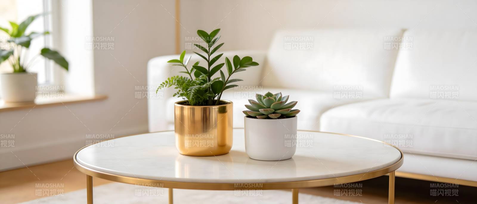 绿植点缀温馨客厅图片