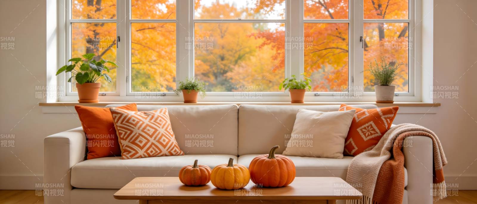 秋日客厅温馨一角图片