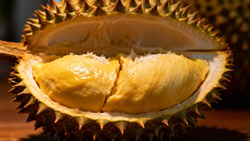 榴莲果肉特写图片