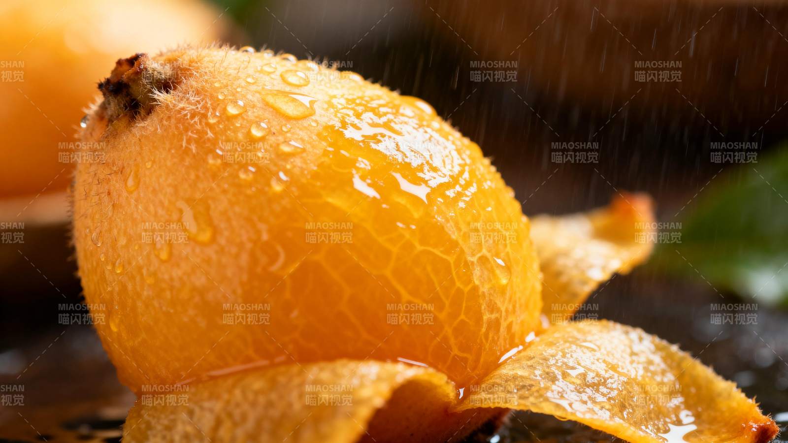 雨中枇杷 晶莹剔透图片