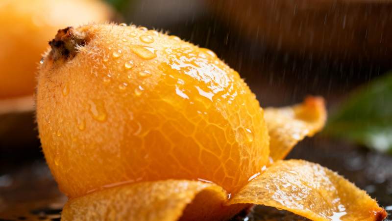 雨中枇杷 晶莹剔透图片