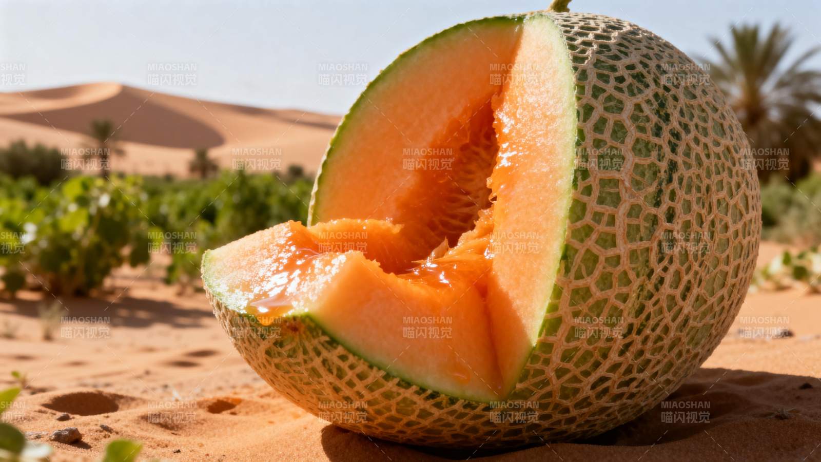 沙漠中的哈密瓜图片