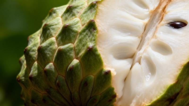 释迦果特写图片