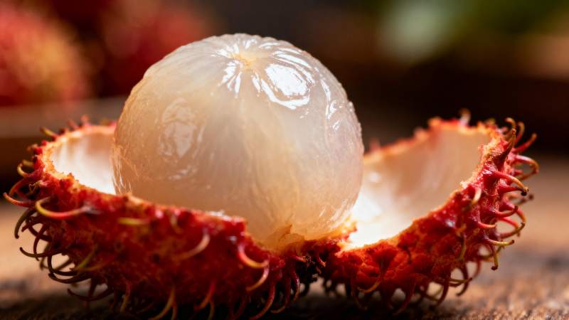 红毛丹果肉晶莹图片