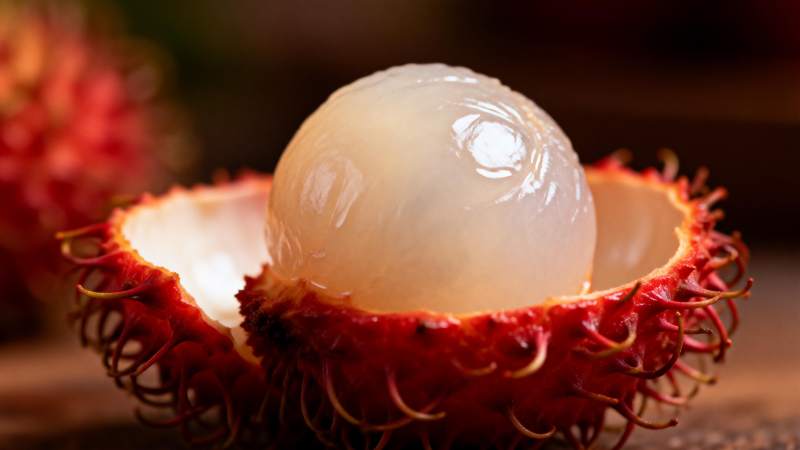 红毛丹果肉晶莹图片