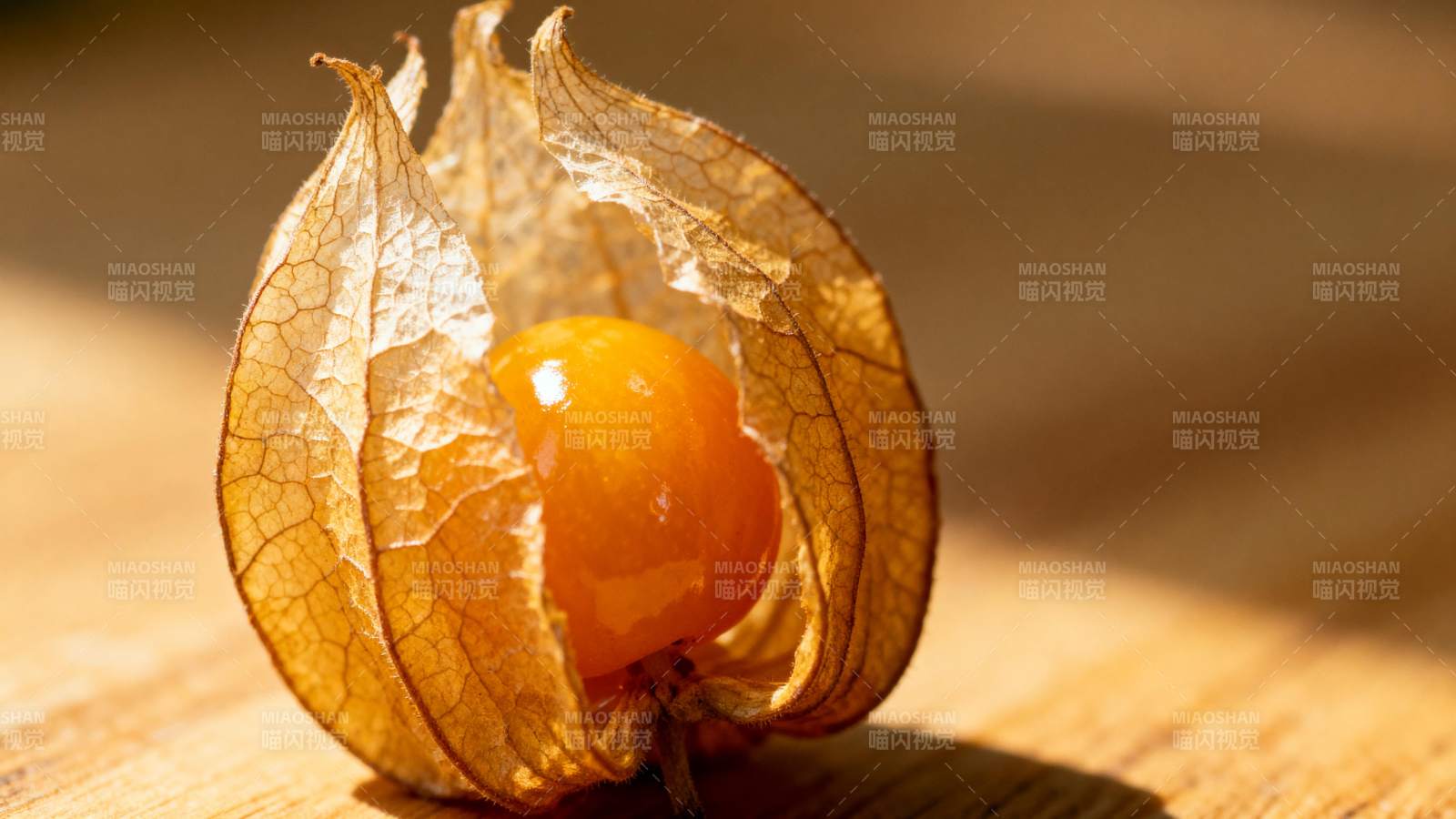 金黄果实破壳而出图片