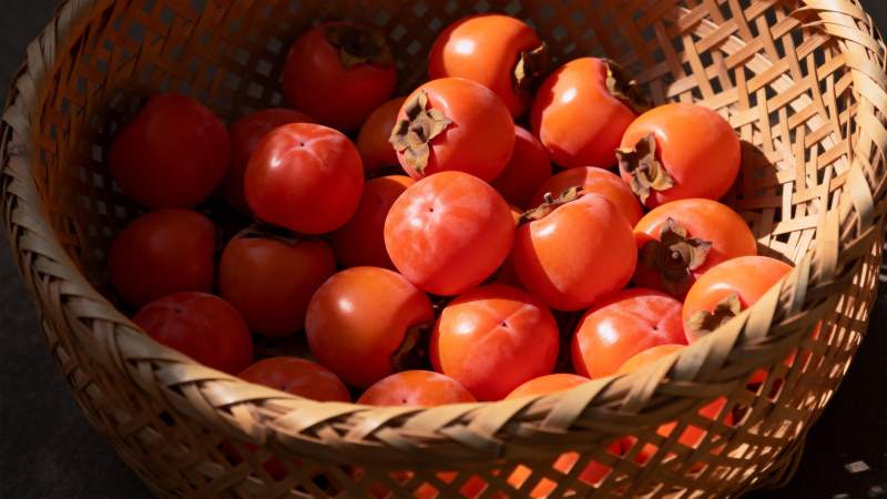篮中鲜红柿子图片