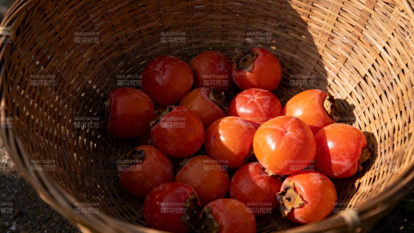 篮中鲜红柿子图片