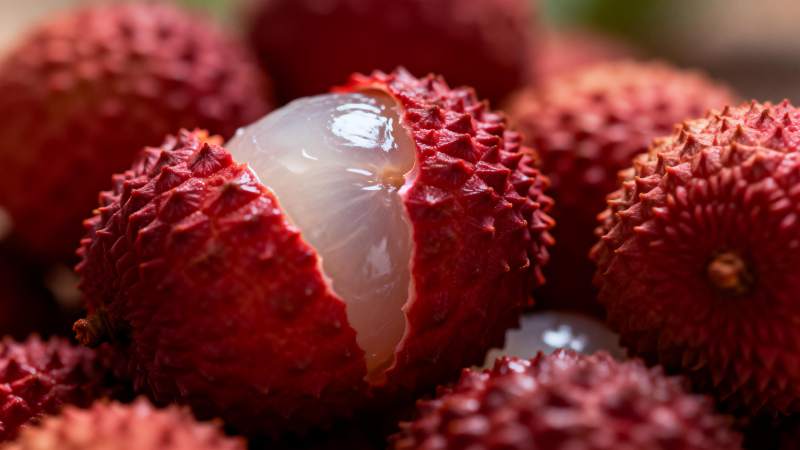 新鲜荔枝特写图片