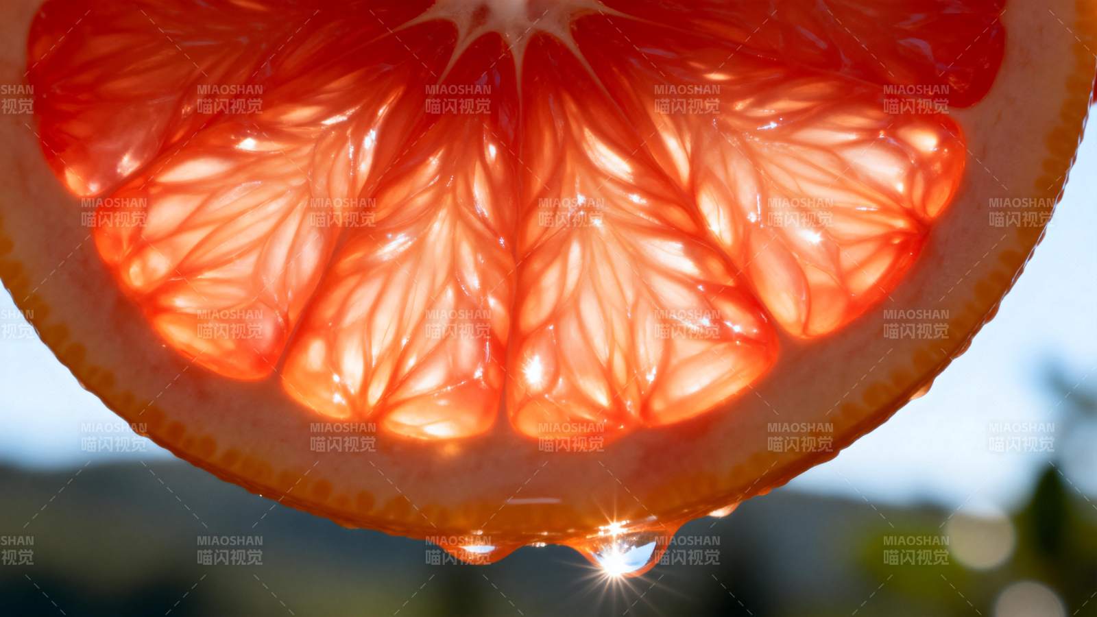 橙子切片滴水图片