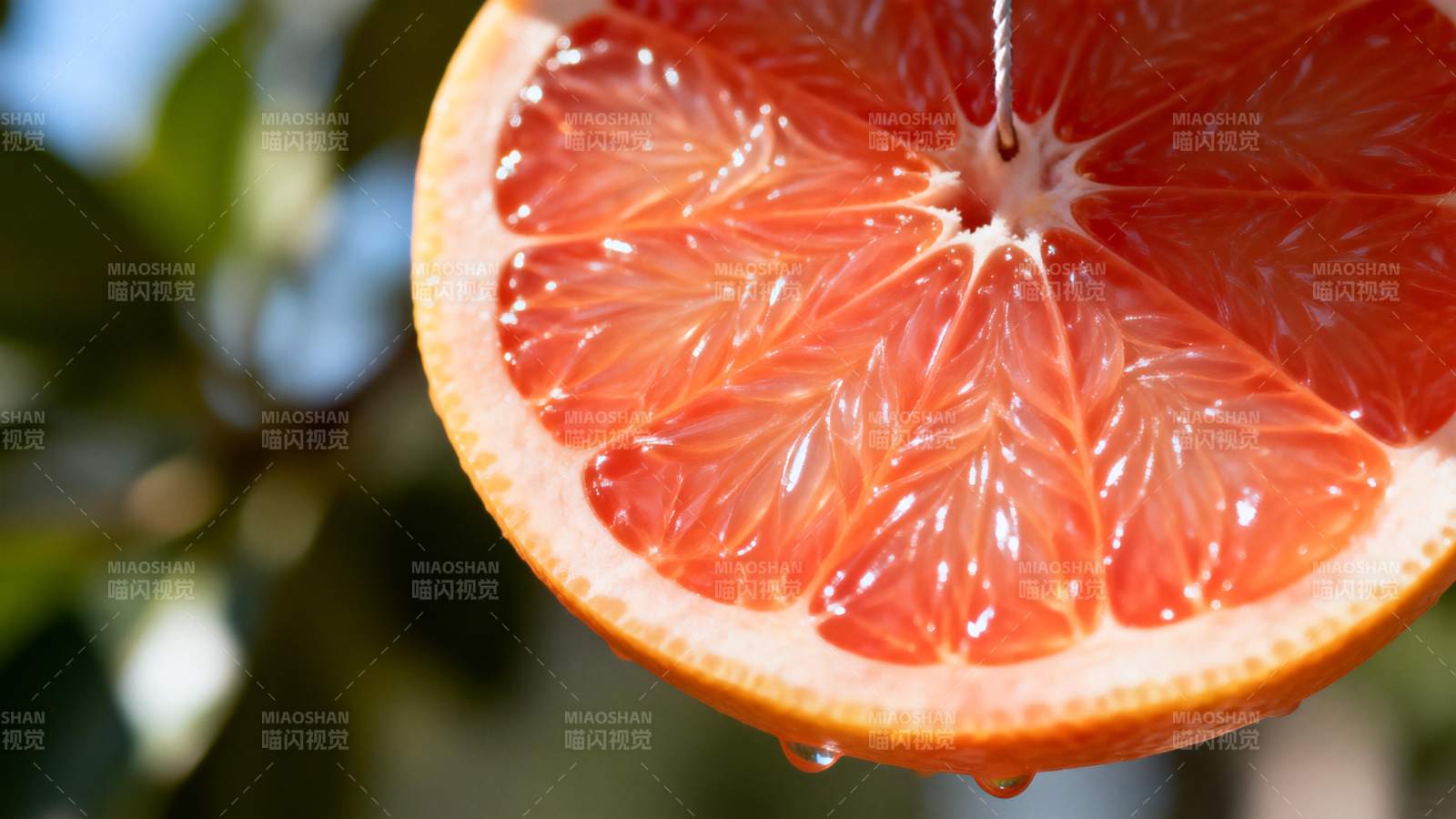 血橙切片特写图片