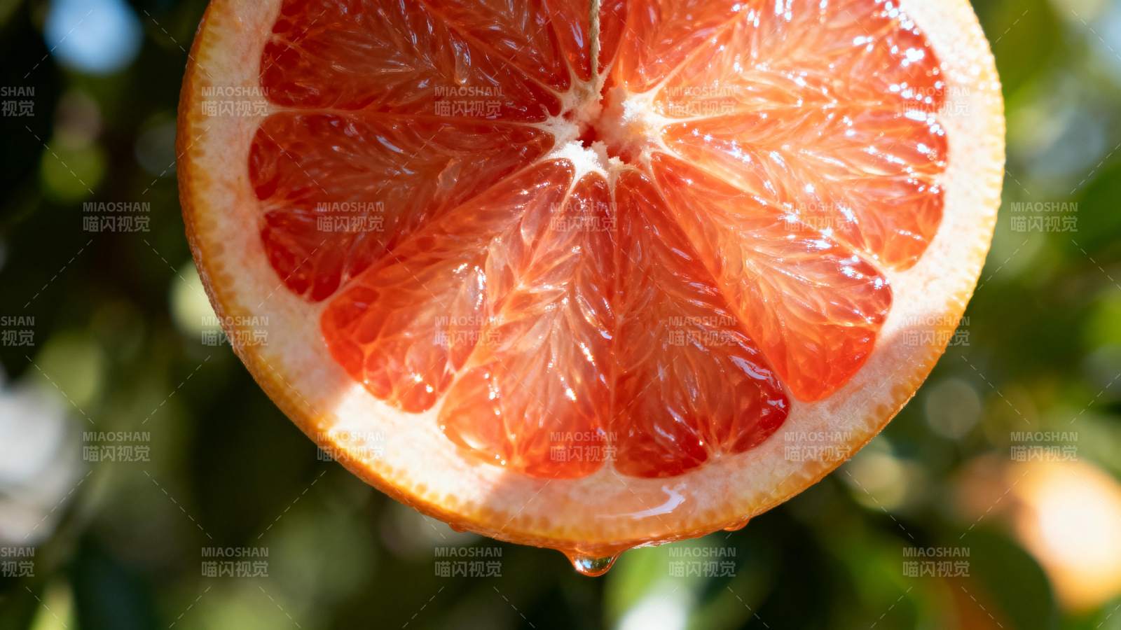 血橙切片滴水图片
