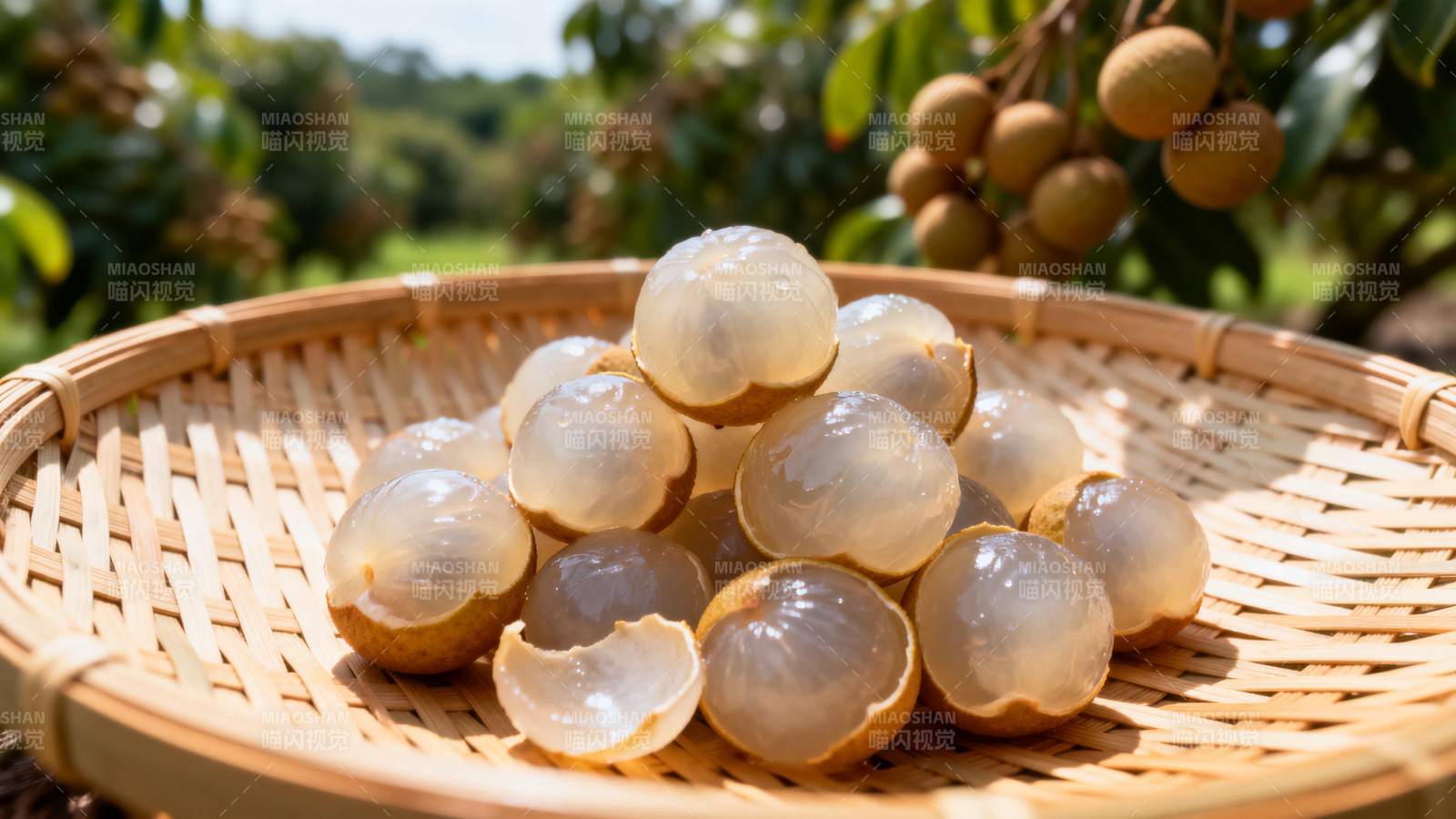 新鲜龙眼果肉图片