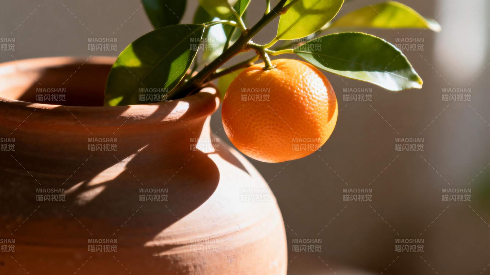 橙果枝头 陶罐静美图片