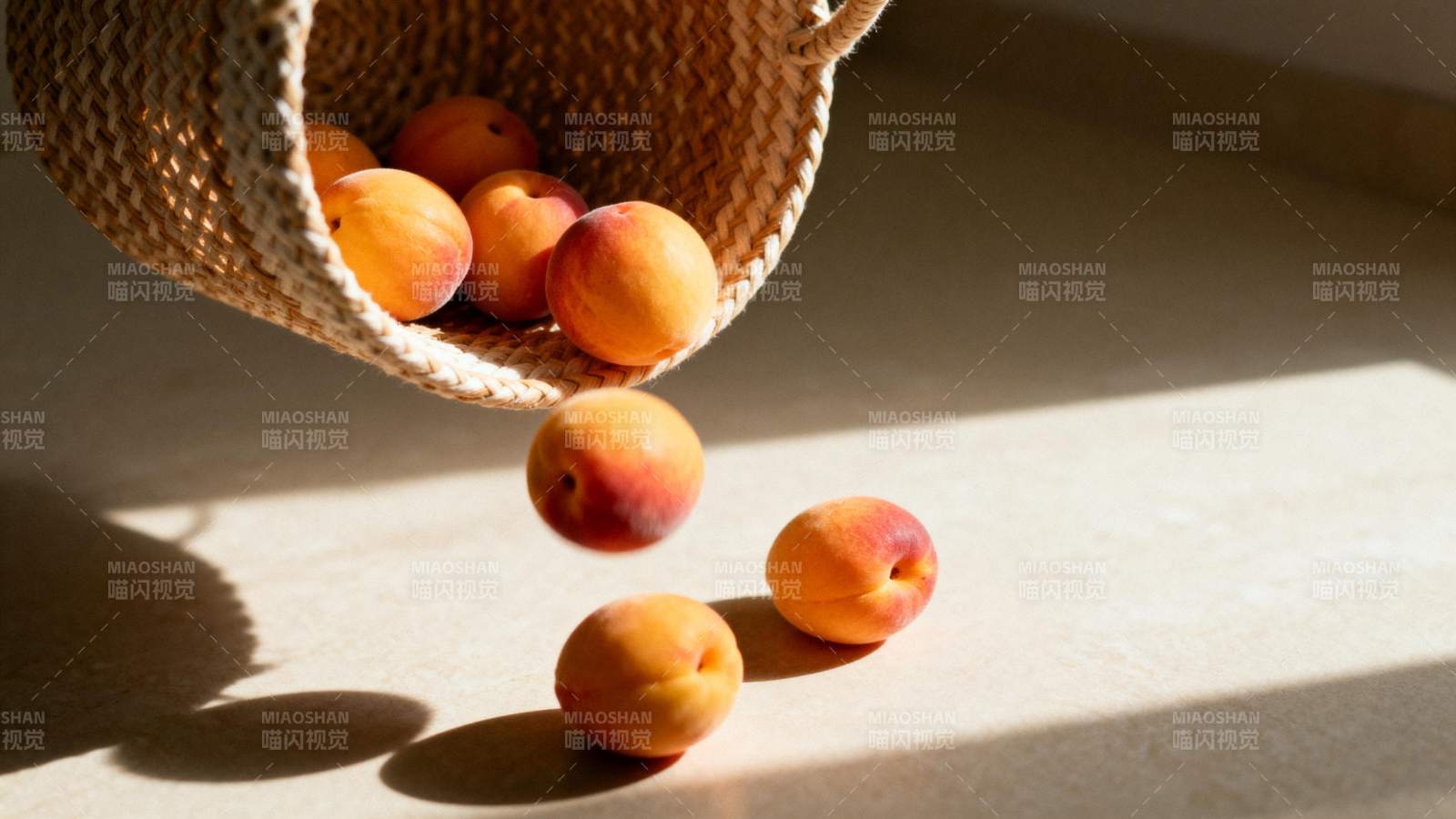 杏子倾泻阳光下图片