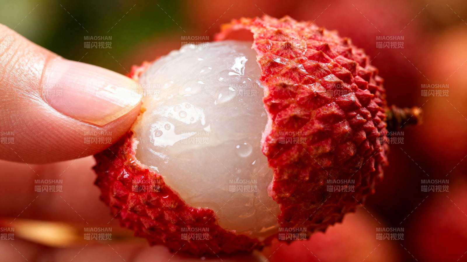 手剥荔枝 晶莹剔透图片