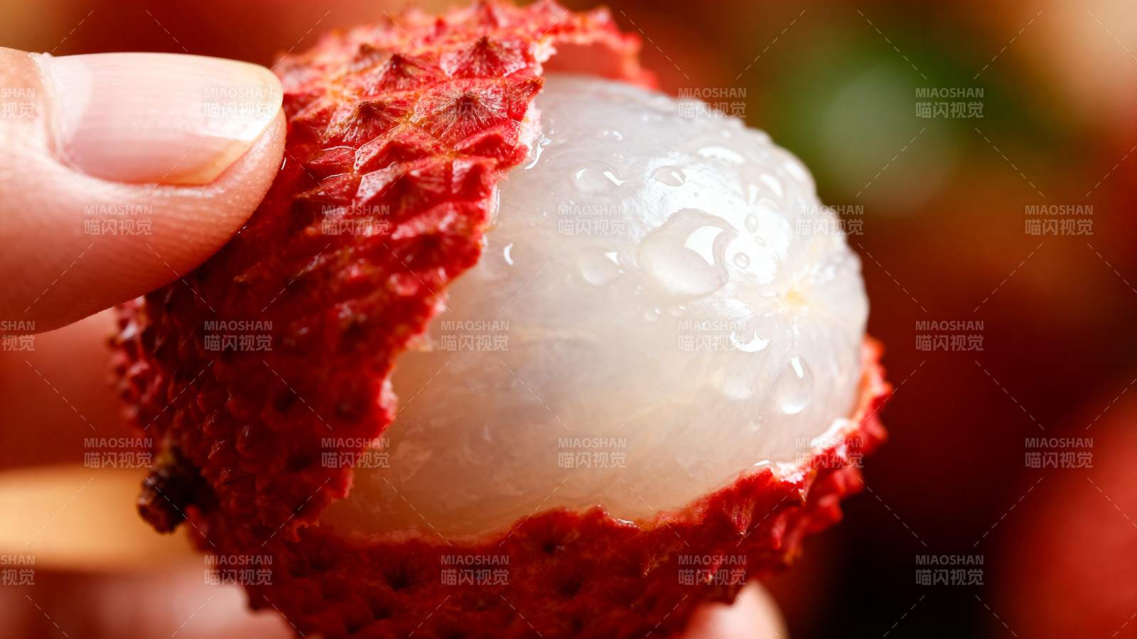 鲜嫩荔枝特写图片