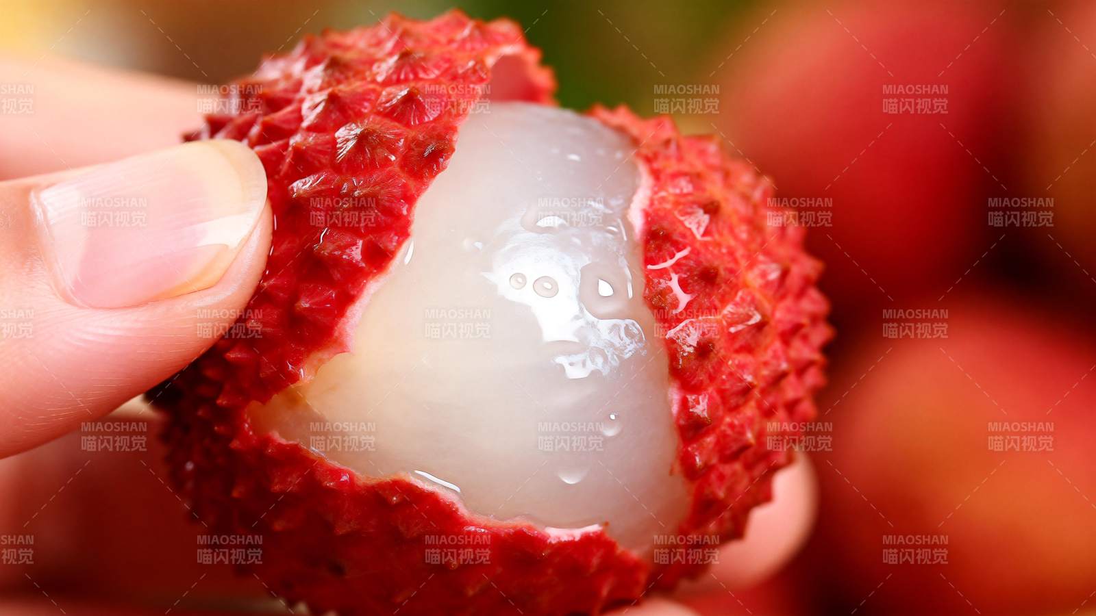 鲜嫩荔枝特写图片