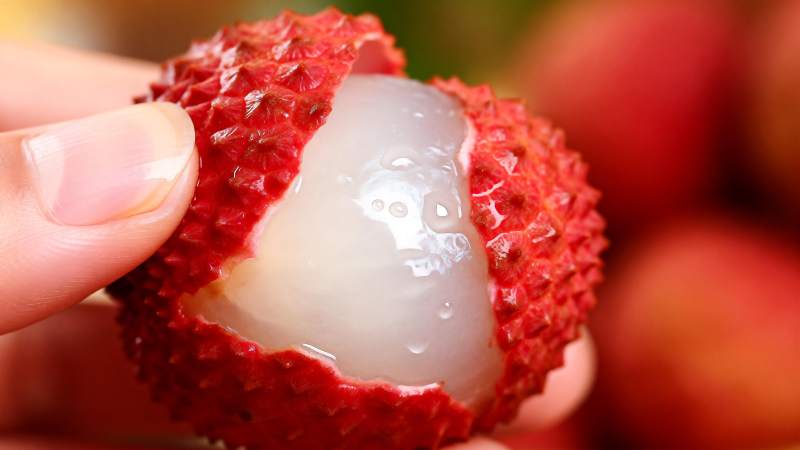 鲜嫩荔枝特写图片